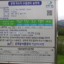 알즈너맑은