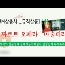 모차르트 마술피리 이미지