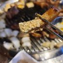 맘모스껍데기 이미지