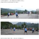 중앙애견미용 이미지