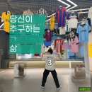축덕이라면 꼭 가야할 축구전시회:당신이 축구하는삶