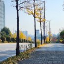 공영로 이미지