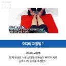 👨‍⚕서울대 교수의 '100년 허리 유지법' 이미지