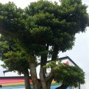 삼달다방 이미지