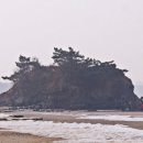 솔모랫길 이미지