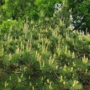 화인아파트 경로당 이미지