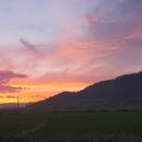 신안인한의원 이미지