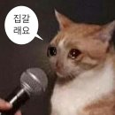 여전히 더웠던.. 근데 이제 선선함을 곁들인 9월의 일상