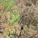 권철농장 이미지