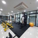 에코씨엘 이미지