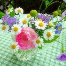 향기나무어린이집 이미지