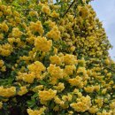 의창-동읍-4-비-1 이미지