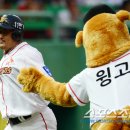 윙고 이미지