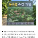황제능이버섯 백숙 Daum카페
