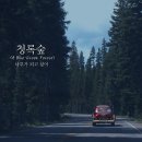 청록나무