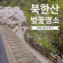 도선사 - 우이동 | 선운각 카페 | 부모님과 함께 다녀온 우이동 '선운각' 내돈내산 후기(feat. 벚꽃 명소)
