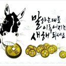 온새미로캠프 이미지