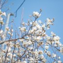 경화동행정복지센터 이미지