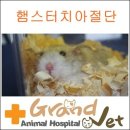 그랜드벳동물병원 이미지