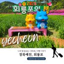축구장 옆 화단 | 경북 가볼만한 곳 예천 여행 회룡포 봄나들이 축제 2026 봄꽃 구경