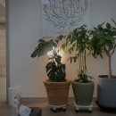 연세로뎀정신건강의학과의원 이미지