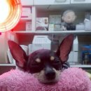 두암동물병원 이미지