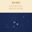 엔젤애견 이미지