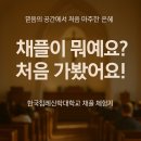 한국침례신학대학교 | [침신대 채플 체험기] 한국침례신학대학교 예배 후기 &amp; 신앙의 은혜로운 하루
