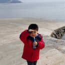 외포리선착장 이미지