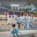 경주문화재해설 | 불국사 대웅전 석가탑 다보탑 주차팁! 경주 아이와 가볼만한곳