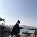 공차울산대왕암공원점 이미지