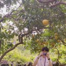 영희목장 이미지