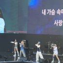 GS25 연대동문점 | 연세대 동문축제 ‘연세여 사랑한다 2025’ 공연 후기
