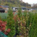 그린농장(GREEN) 이미지