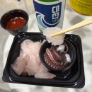 볼락 밤낚시 체험 이미지