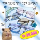 안경샵 이미지