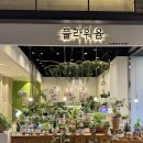 [백석] 힐링 플라워(압화) | 백석역 꽃집 플라워윰 일산 꽃다발 추천