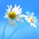 라온컴퓨터 이미지