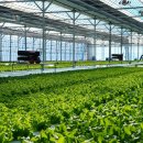 성보농장 이미지