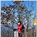 매남이길 이미지