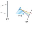 빛의 소나타 이미지