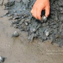 선운산골든캐슬 이미지