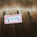 헤어닥 이미지