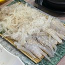 회·오징어나라