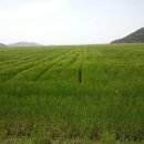 새한신용정보(주)
