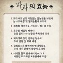 파과