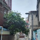 용산-258 | [일기] 07.25. 용산 숙대입구역 (어썸그라운드 재즈바 후기)