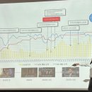 주식회사 고래가겜 이미지