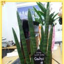 한주공인중개사사무소 이미지