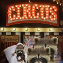 호평우리약국 | [방탈출77] 잭인더쇼 / 포인트나인 건대점 | 극쫄 인생 첫 공테..!